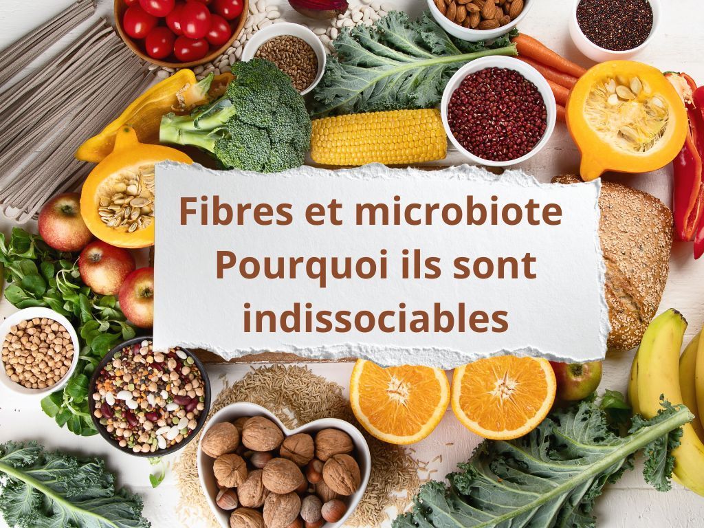 Fibres et microbiote- La synergie